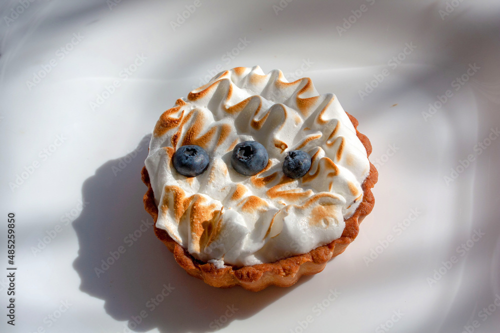 cream cake with blueberries on a white background, macro shooting, top view
