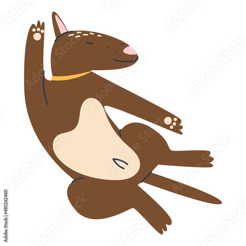Puppy dog ​​sleeps belly up. Cute pets isolated on white background. Flat vector illustration.