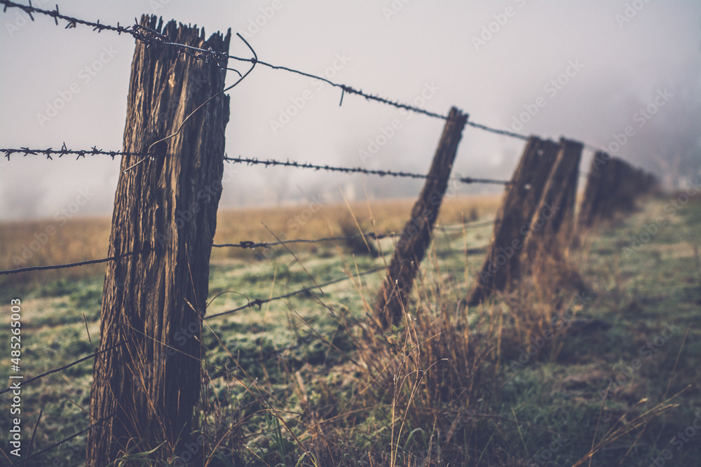 barbed wire fence barbed wire fence