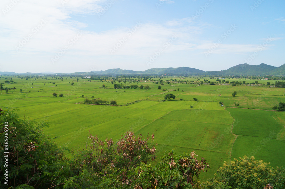 Landscape with green fields, green fields