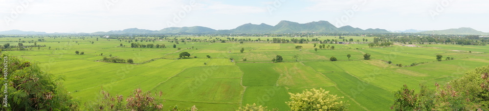 Landscape with green fields, green fields
