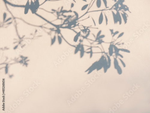 Tree leaves shadow on wall Nature Abstract background