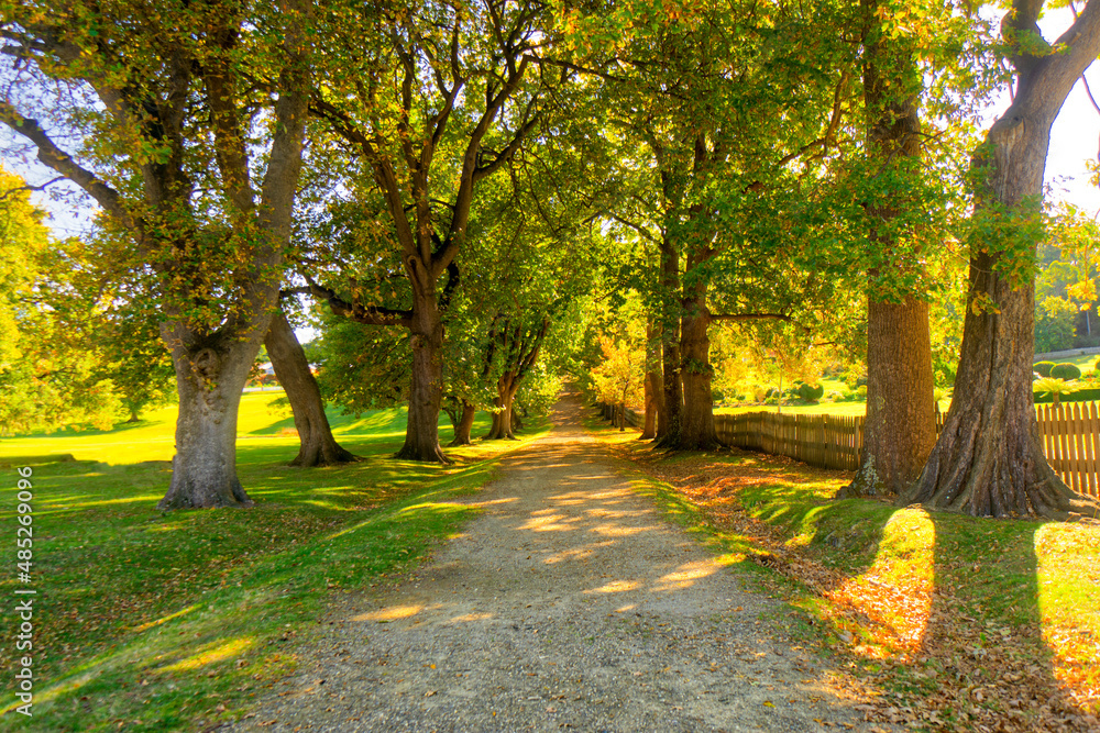 Fototapeta premium Country Road