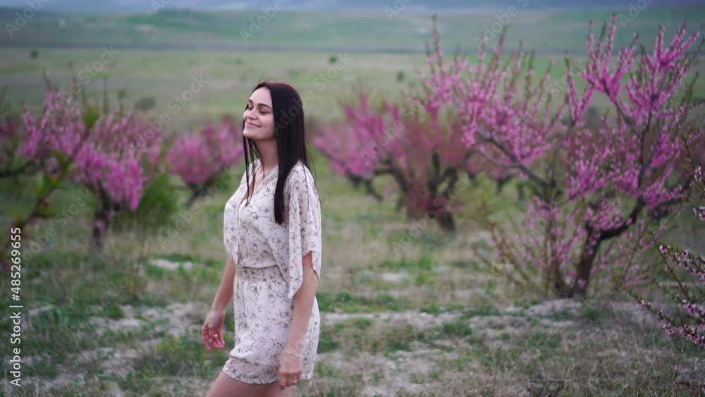 a beautiful happy village girl with long black hair walks through a blooming orchard. Bright pink flowers of trees in spring a beautiful happy village girl with long black hair walks through a blooming orchard. Bright pink flowers of trees in spring