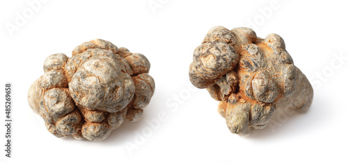 Dried notoginseng isolated on white background