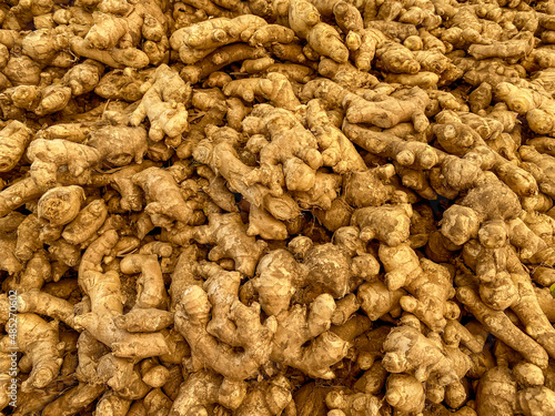 Pile of Fresh organic ginger in the fresh market, herb,
