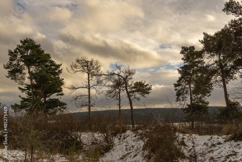 Wallpaper Mural Landschaft im Winter Torontodigital.ca