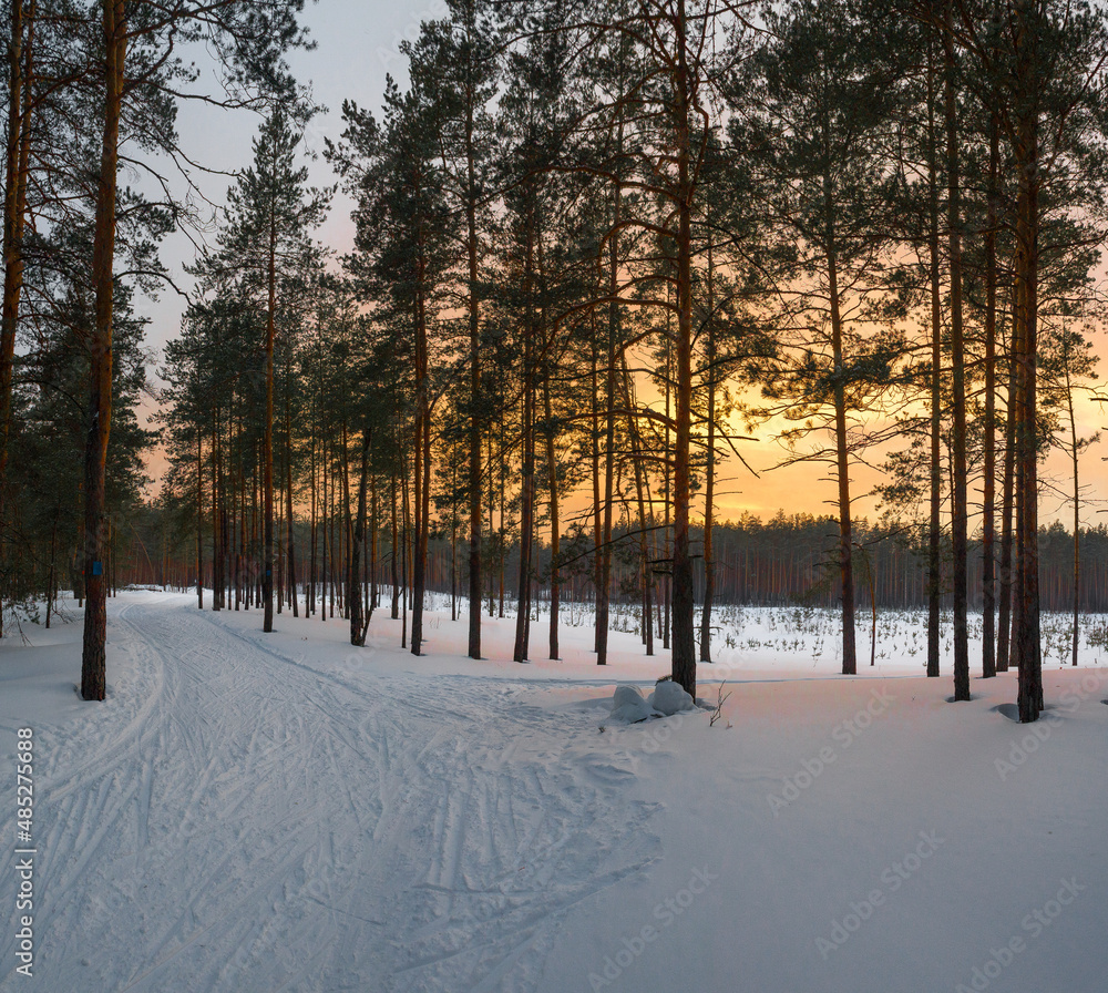 Sunset in winter forest on ski track Sunset in winter forest on ski track