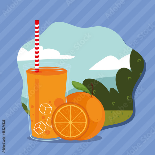smoothie fruit orange