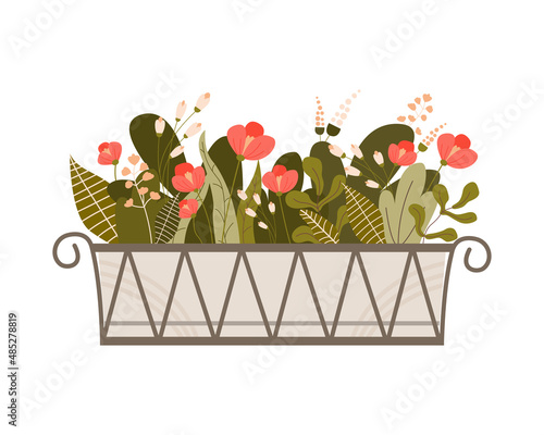 Window long low box with different growth plants and flowers. Balcony green garden. Colored flat vector illustration isolated on white background