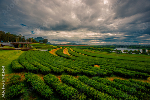 Natural background of the atmosphere in the garden house, surrounded by rice fields, plants, rice fields, reservoirs, and there is a seat to relax and watch the wind blowing through the cool blur.