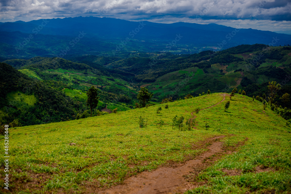The natural background of the decoration of the park or the ornamental garden, the atmosphere is surrounded by many plants, for people to sit and relax while traveling.