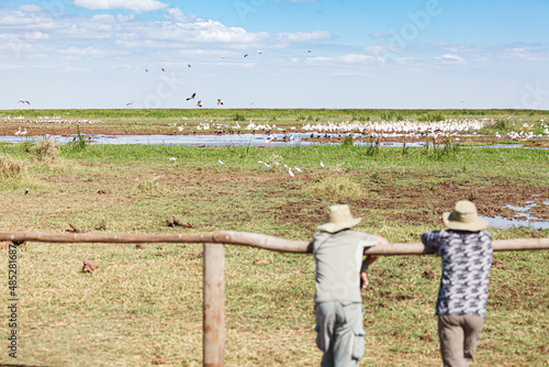 Wallpaper Mural 野鳥が集まるオアシスの風景 Torontodigital.ca