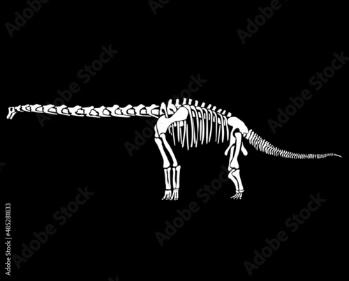Graphic skeleton of an abrosaurus dinosaur on a black background. Vector illustration.