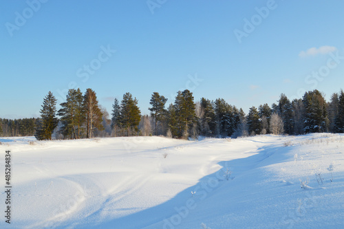Winter Field and Forest Scenery © maslovestas