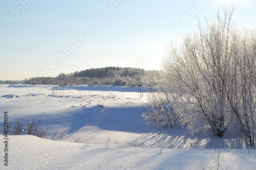 Bushes on the River Bank under Snow © maslovestas