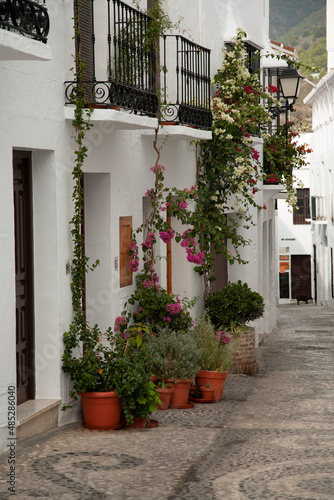 Typical streets of Frigiliana. White houses  flowers  cobbled streets and magical corners.