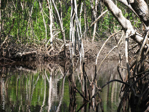 Mit dem Air-Boot durch die Mangrovenwälder der Everglades photo