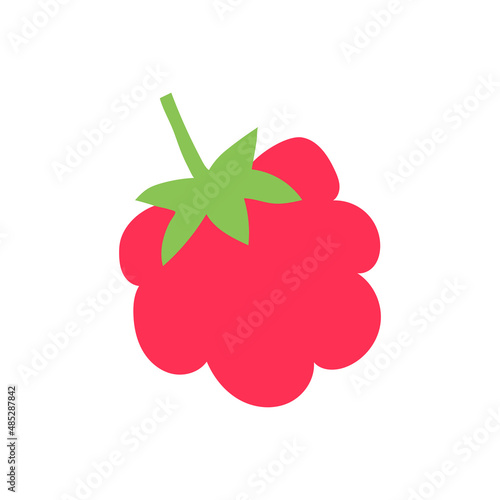Raspberry. Cutouts fruit. Shape colored cardboard or paper. Funny childish applique