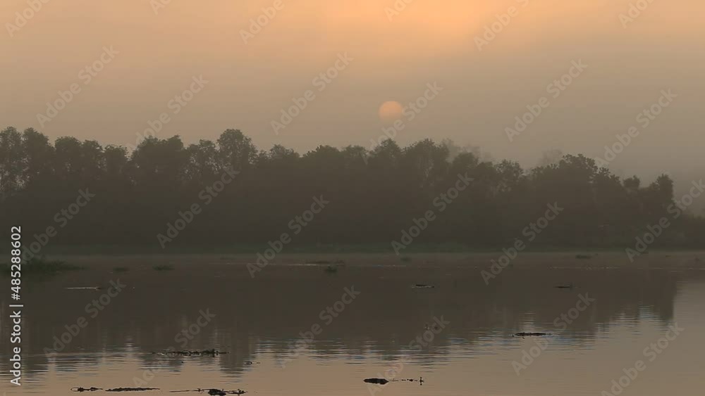 Blurred video background of morning nature by the sea, with trees, small fishing boats moored against the colorful sky during the rainy season. Blurred video background of morning nature by the sea, with trees, small fishing boats moored against the colorful sky during the rainy season.