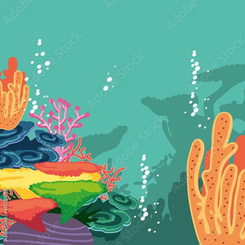 coral and reef cartoon