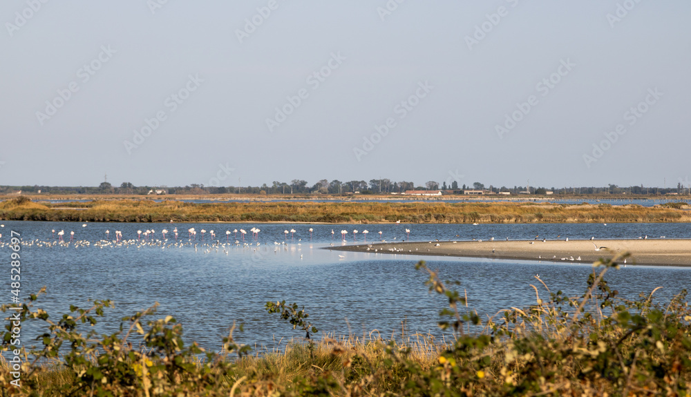 Natural reserve park called Polesine, North of Italy