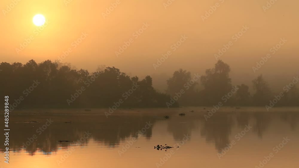 Blurred video background of morning nature by the sea, with trees, small fishing boats moored against the colorful sky during the rainy season. Blurred video background of morning nature by the sea, with trees, small fishing boats moored against the colorful sky during the rainy season.