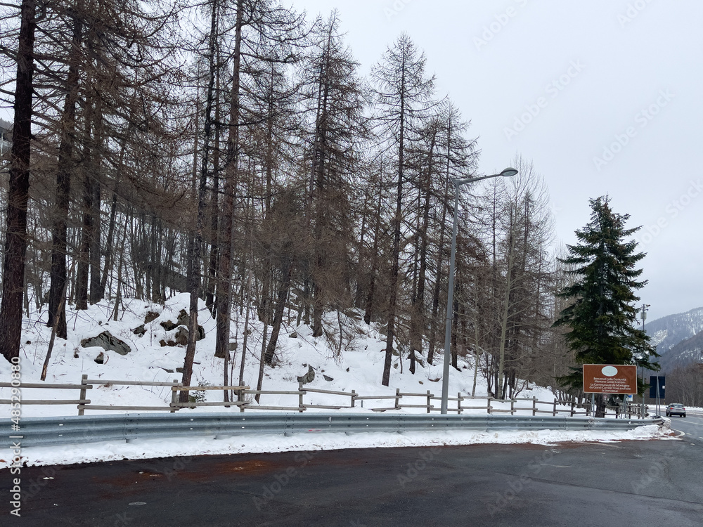 Car driving in the highway through a forest during the winter season