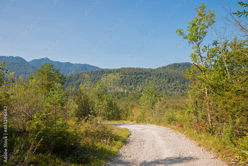 bike route through Eschenloher Moos moor landscape, upper bavaria