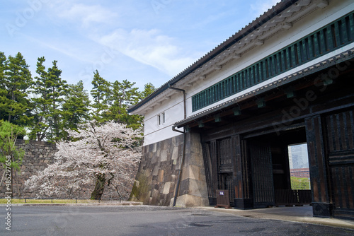 春の桜田門と桜 photo