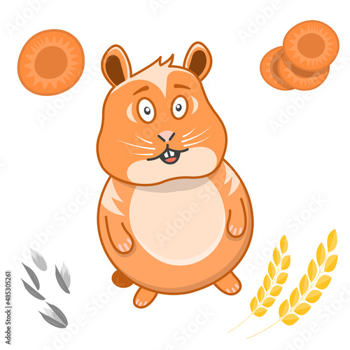 Image of a cute cartoon hamster. A simple drawing of a pet along with the products of his diet. Vector over white background.