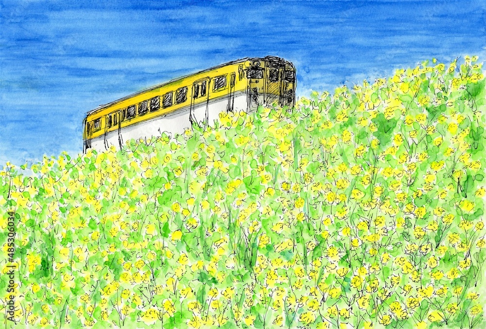 菜の花の咲く土手と列車 Stock イラスト Adobe Stock 菜の花の咲く土手と列車 Stock イラスト Adobe Stock