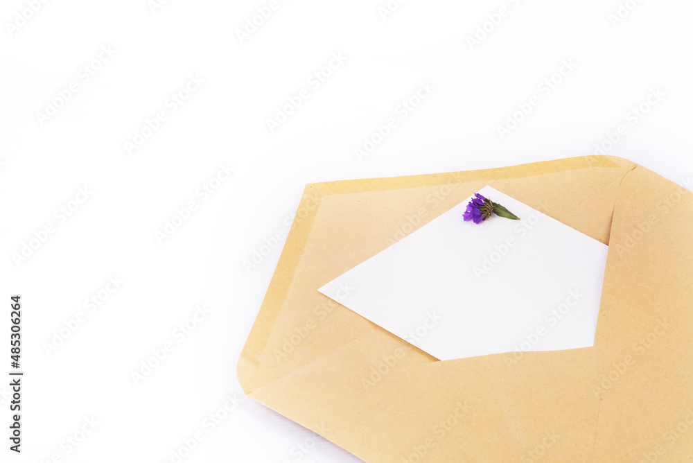 Organic notebook open postal envelope with Blue, dried flowers and clean paper on the white background. copy space Organic notebook open postal envelope with Blue, dried flowers and clean paper on the white background. copy space