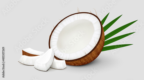 Halved coconut fruit with several pieces and palm leaves isolated on gray background. Realistic vector illustration. Side view.