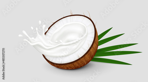 Halved coconut fruit with milk splash and palm leaves isolated on gray background. Realistic vector illustration. Side view.