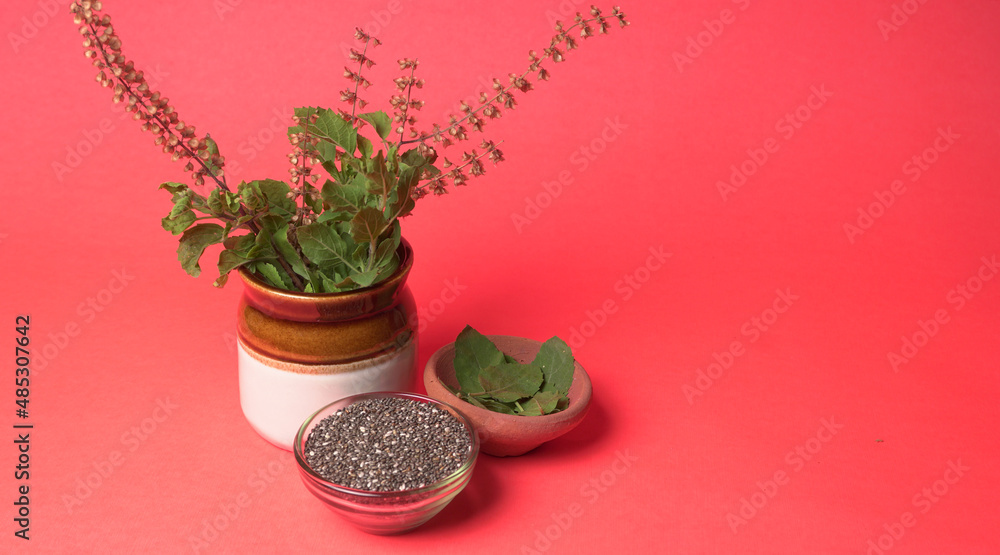 Holy basil, tulasi or tulsi, is an aromatic perennial plant in the