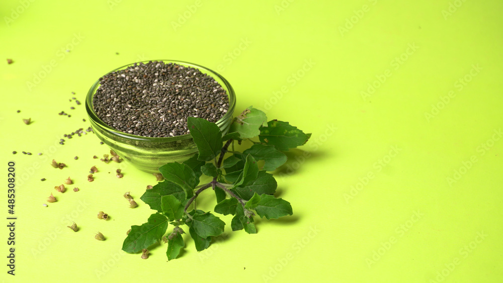 Holy basil, tulasi or tulsi, is an aromatic perennial plant in the