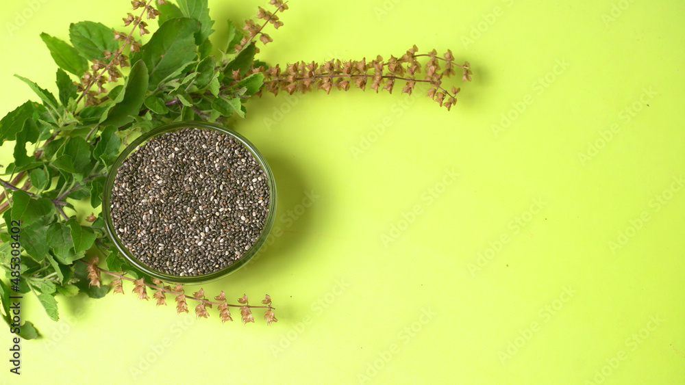 Foto de Holy basil, tulasi or tulsi, is an aromatic perennial plant in