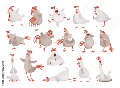 Collection of funny illustrations of rooster and hen. Comic birds.