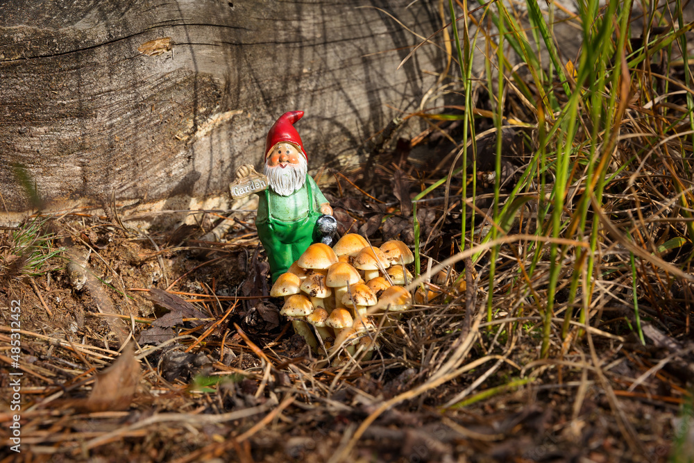 Fototapeta premium Small elf taking care of his mushroom garden