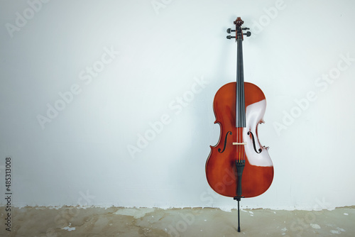 Tablou canvas Mahogany cello on a white background.