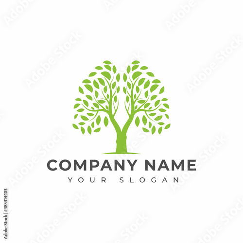 Lung tree logo vector design template