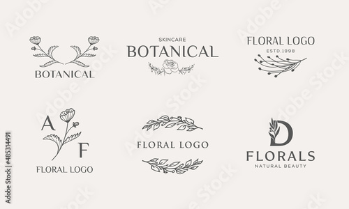 Set of Botanical Floral element Hand Drawn Logo with Wild Flower and Leaves. Logo for spa and beauty salon, boutique, organic shop, wedding, floral designer, interior, photography, cosmetic.