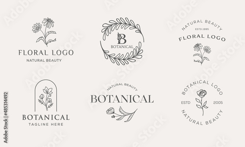 Set of Botanical Floral element Hand Drawn Logo with Wild Flower and Leaves. Logo for spa and beauty salon, boutique, organic shop, wedding, floral designer, interior, photography, cosmetic.