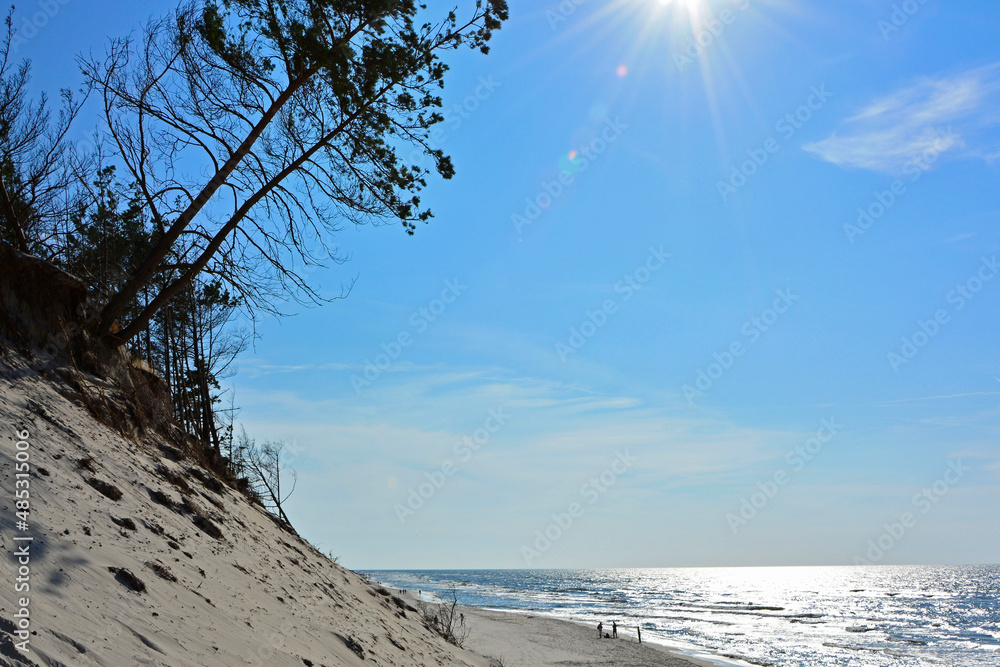 Piaszczysta wydma nadmorska w słońcu, morze, plaża i sosny na klifie  - obrazy, fototapety, plakaty 