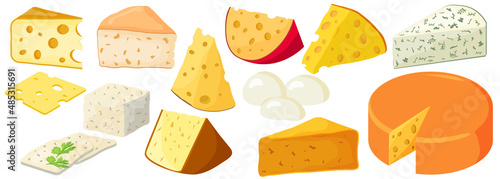 A set of cheese.Cheddar ,mozzarella, maasdam,brie, roquefort, gouda, feta and parmesan.Cut into triangles and slices of delicious cheeses.Flat vector illustration in cartoon style.