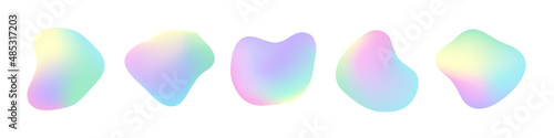 Organic shape holograph colors isolated, label tag