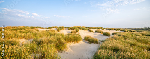 Dune beach panorama with beach grass
