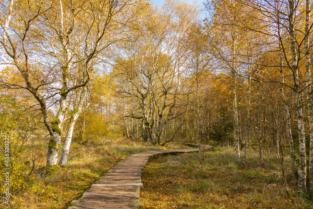 Herbstspaziergang im Schwarzen Moor in der Rhön 