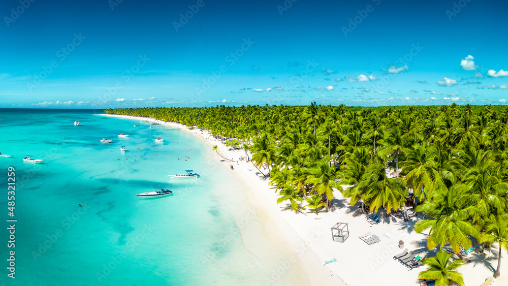 Aerial view of Saona Island in Dominican Republuc. Caribbean Sea with clear blue water and green palms. Tropical beach. The best beach in the world. - obrazy, fototapety, plakaty 